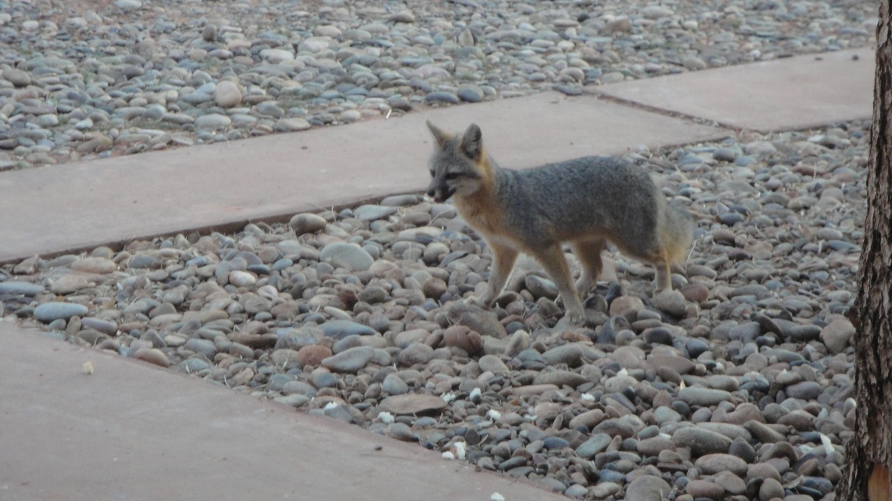 Photo of Outdoor in Moab