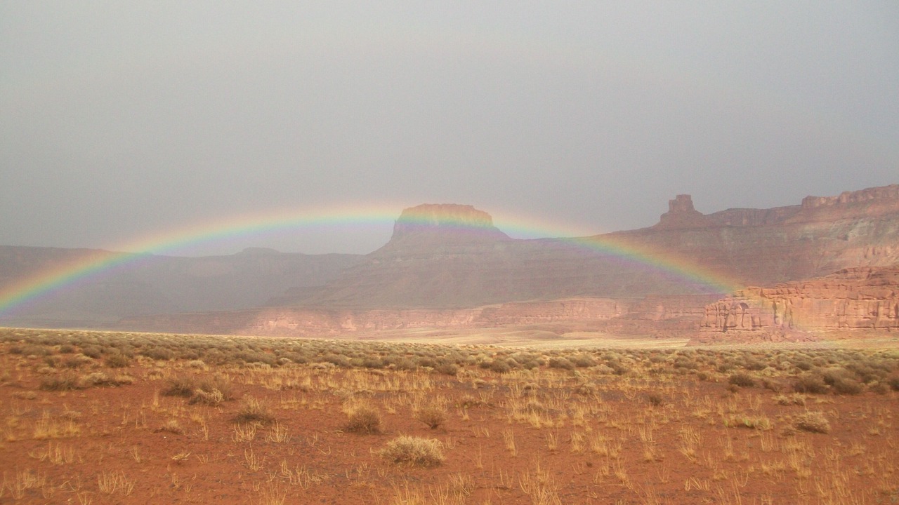 Photo of Others in Moab