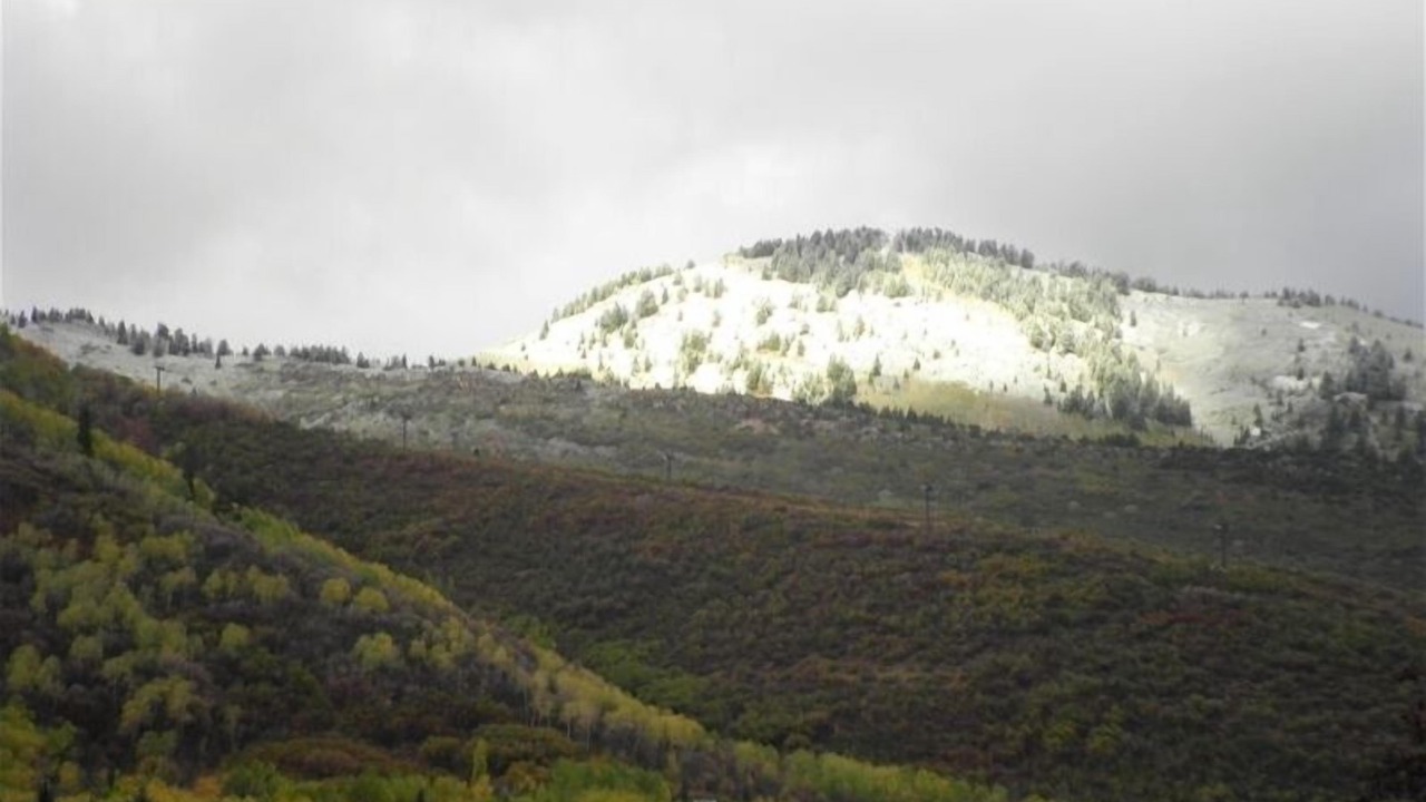 Photo of Outdoor in North Park City