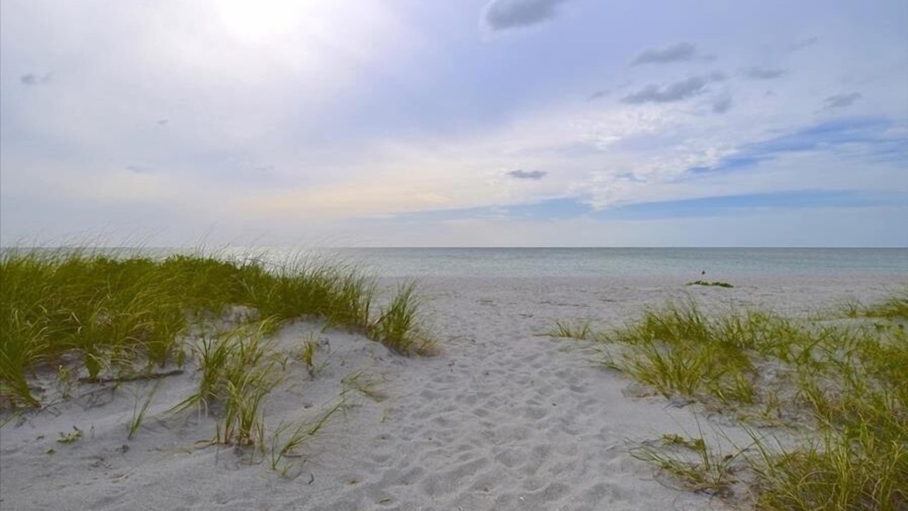 Photo of Others in Siesta Key