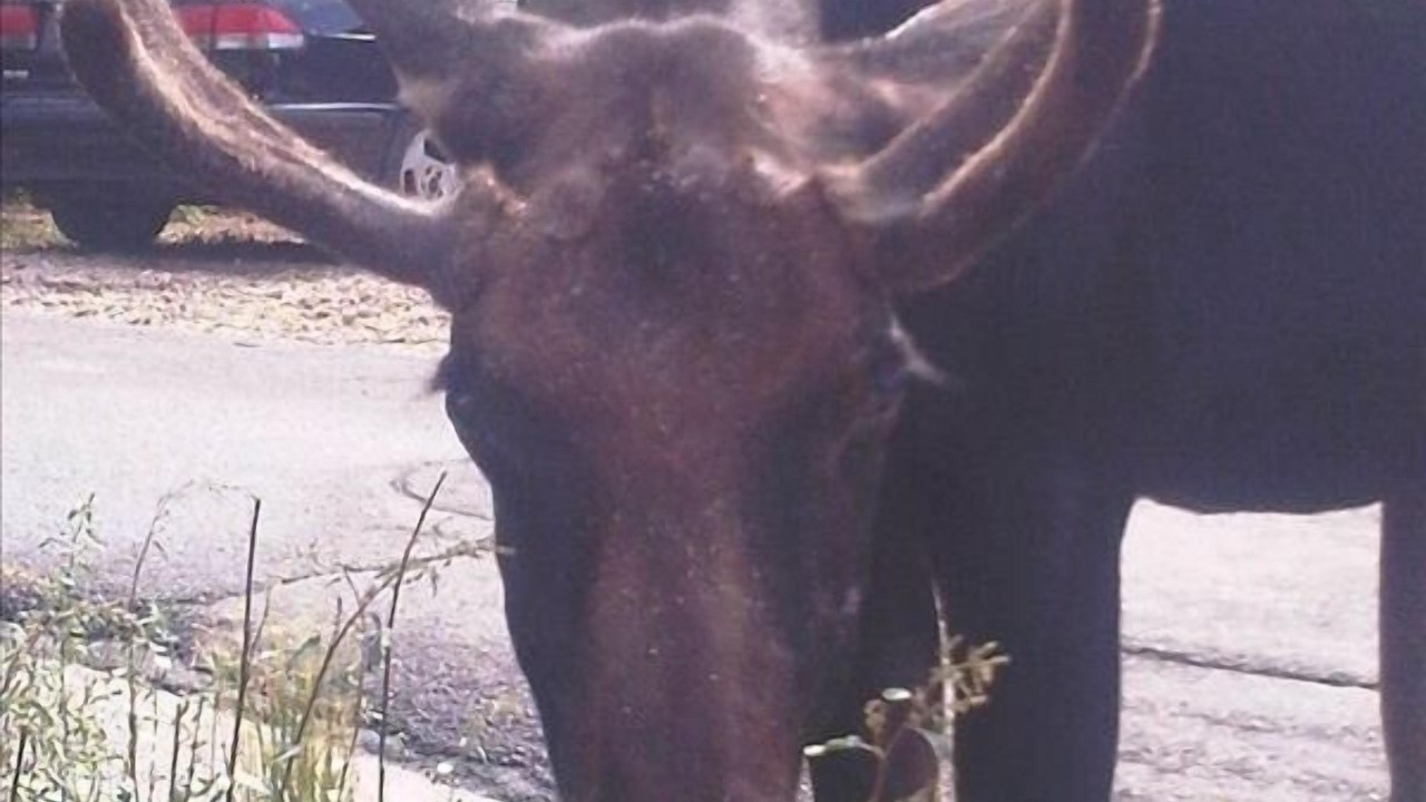 Photo of Others in Downtown Park City