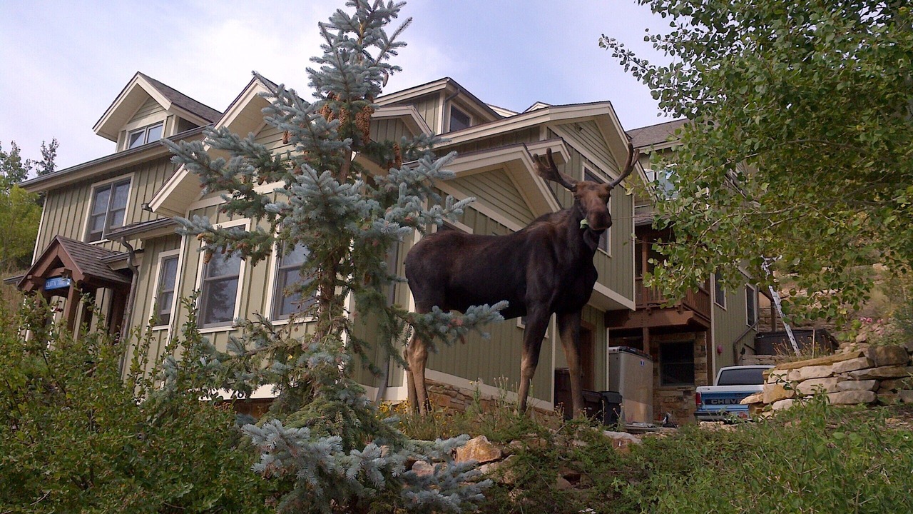 Photo of Others in Downtown Park City