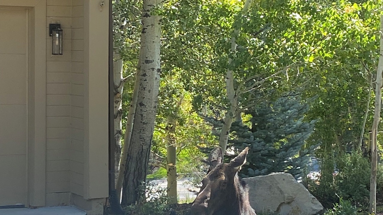 Photo of Outdoor in Deer Valley