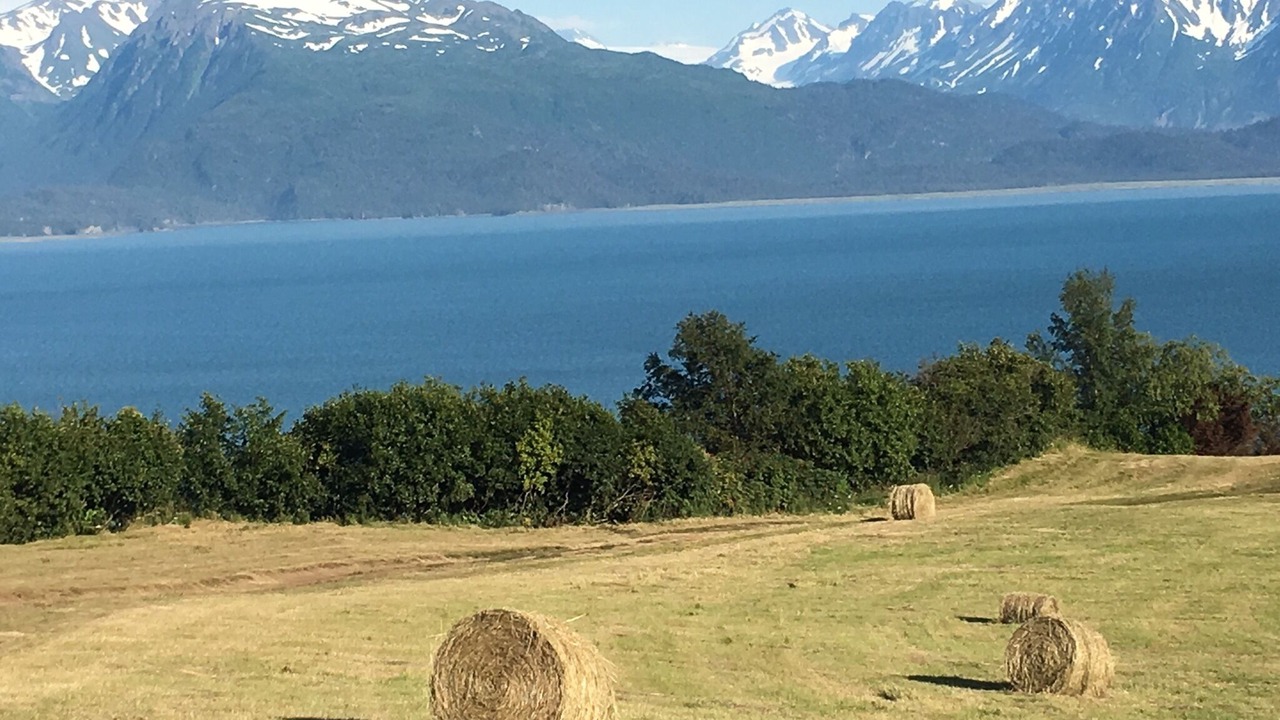 Photo of Outdoor in Fritz Creek