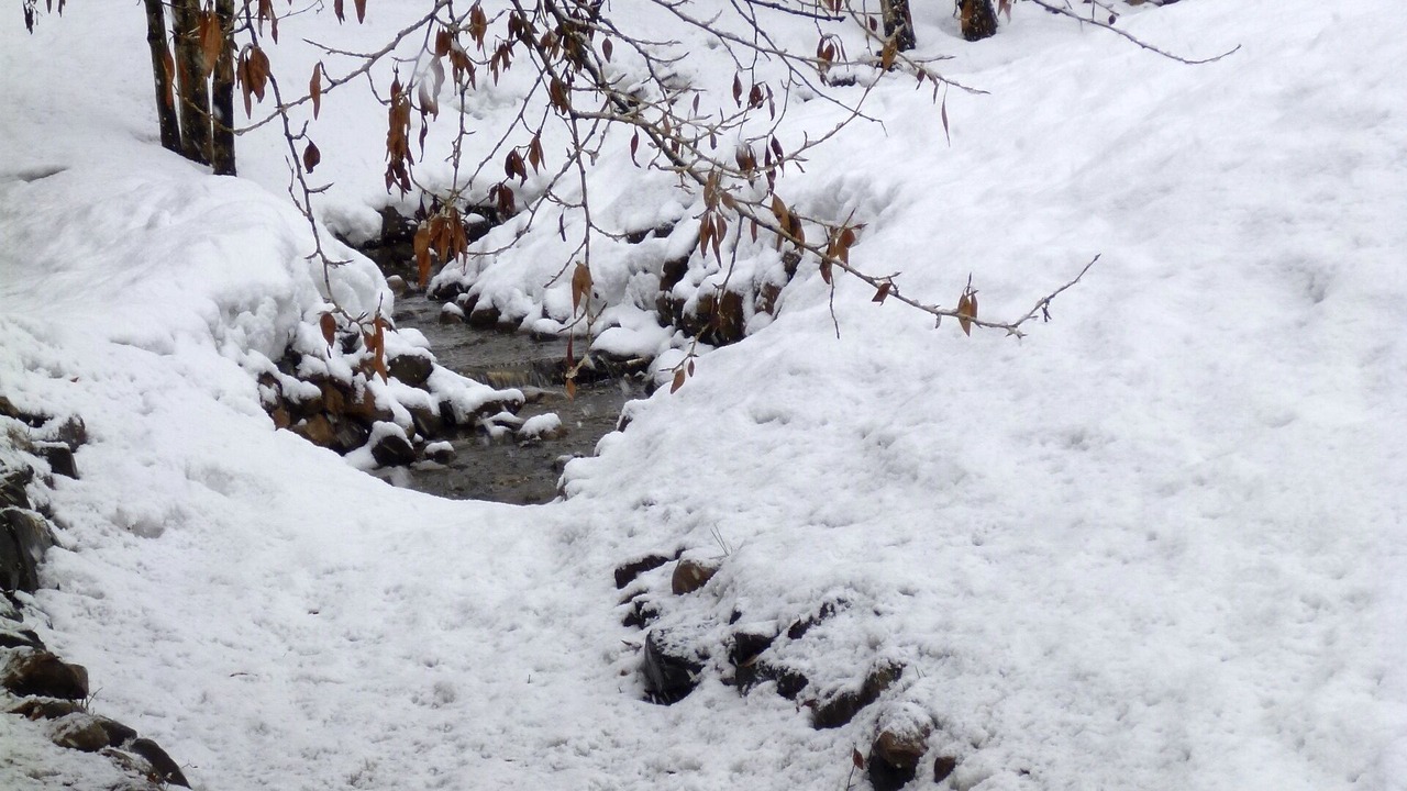Photo of Others in Park City