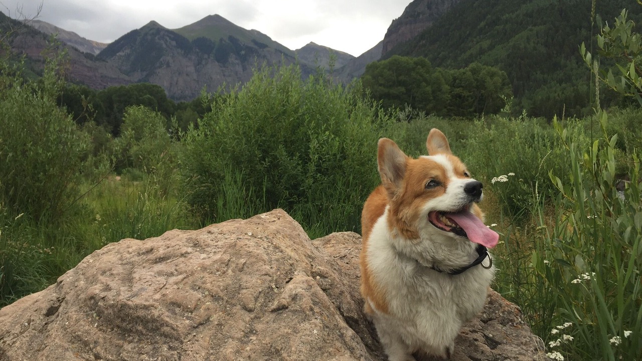 Photo of Others in Telluride