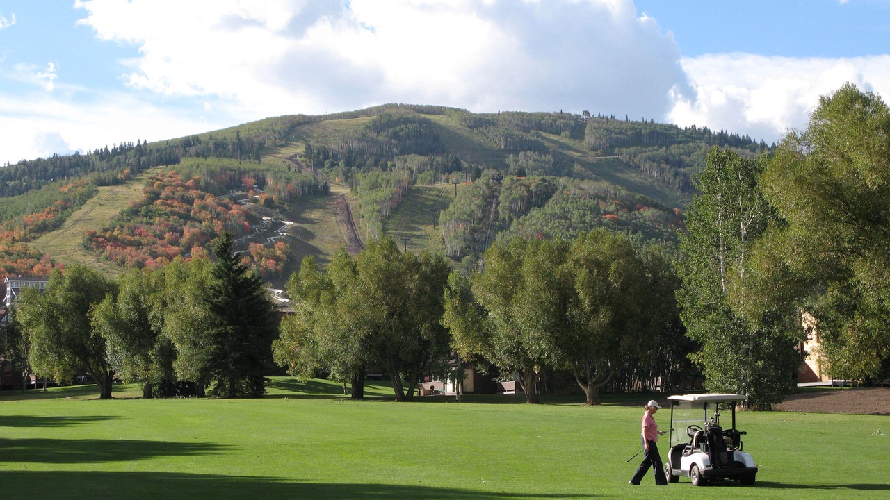Photo of Others in North Park City
