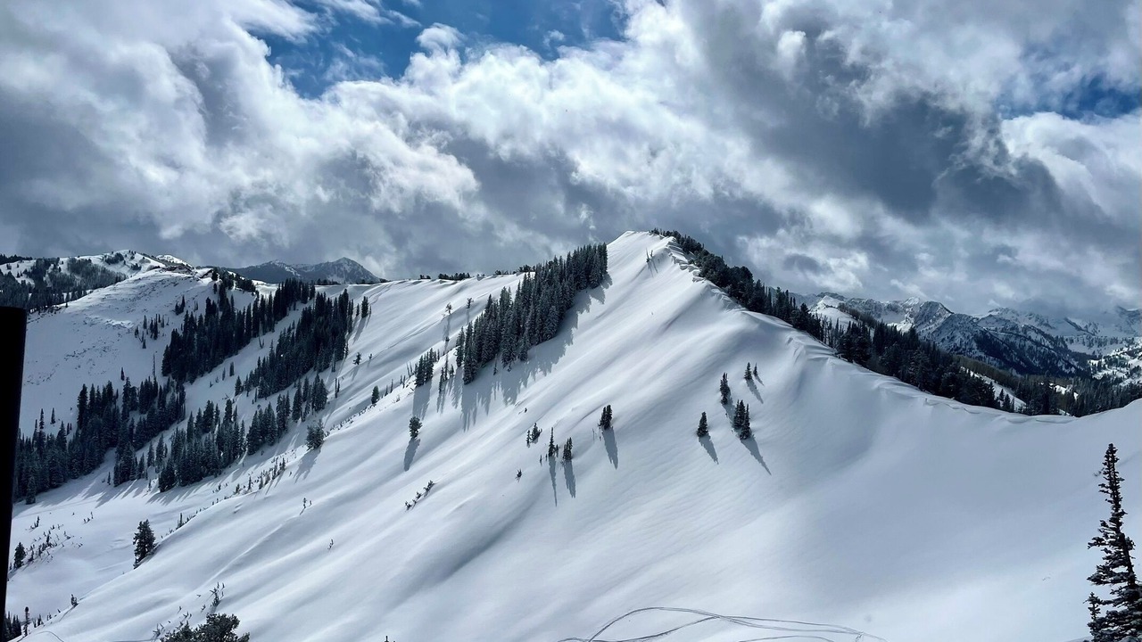 Photo of Others in North Park City