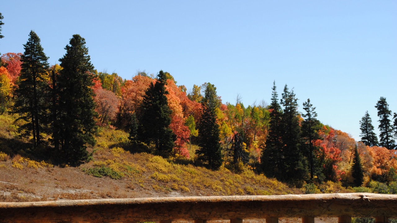 Photo of Others in Tollgate Canyon