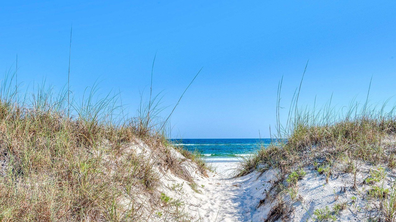 Photo of Others in Gulf Shores