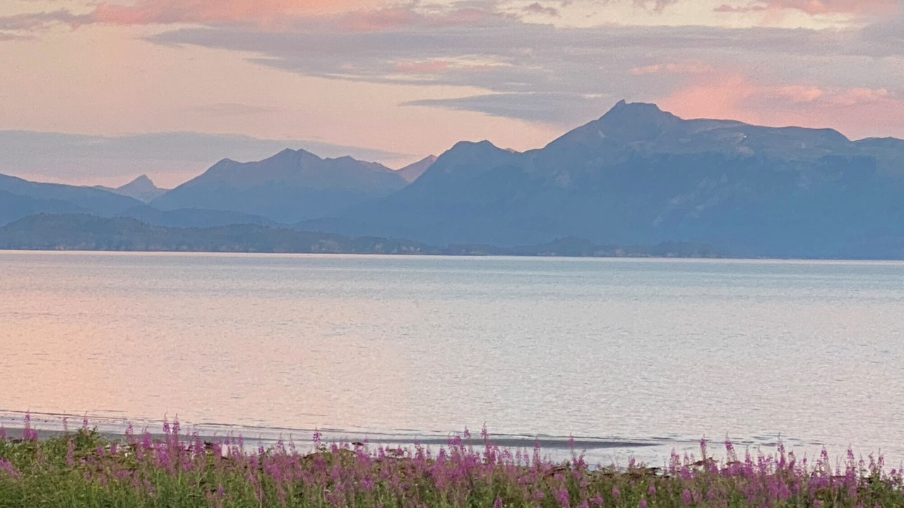 Photo of Outdoor in Homer
