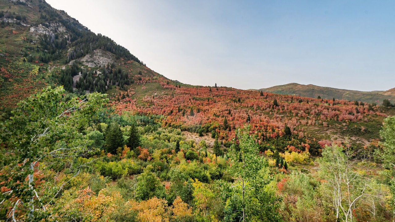 Photo of Outdoor in Sundance