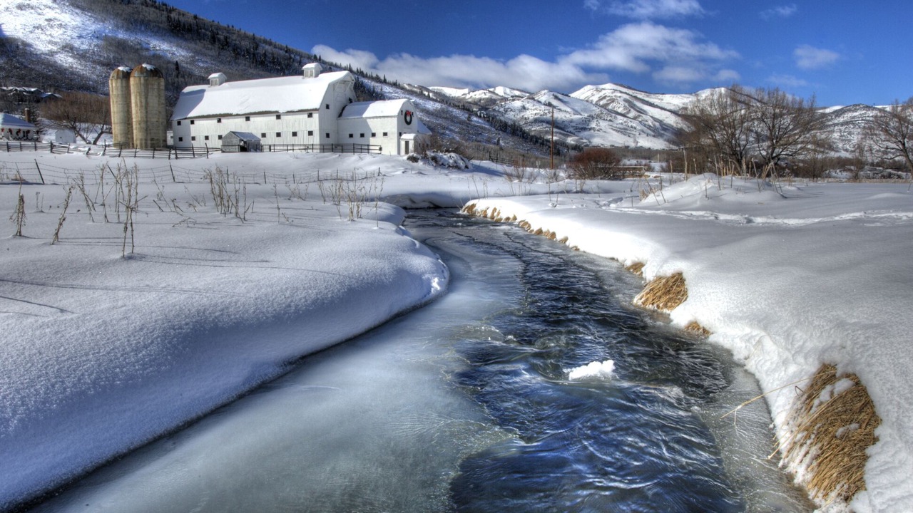 Photo of Others in North Park City