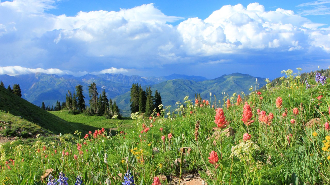 Photo of Outdoor in North Park City