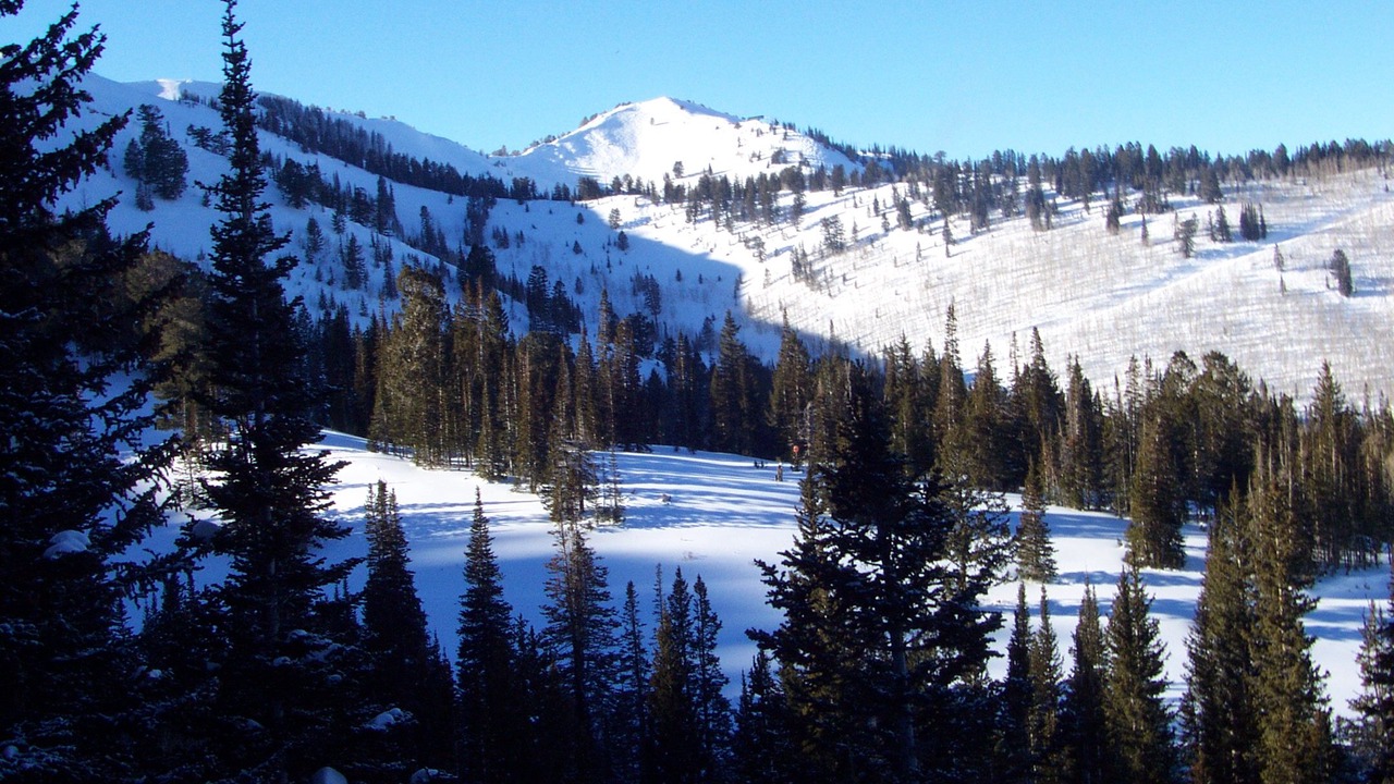 Photo of Outdoor in North Park City