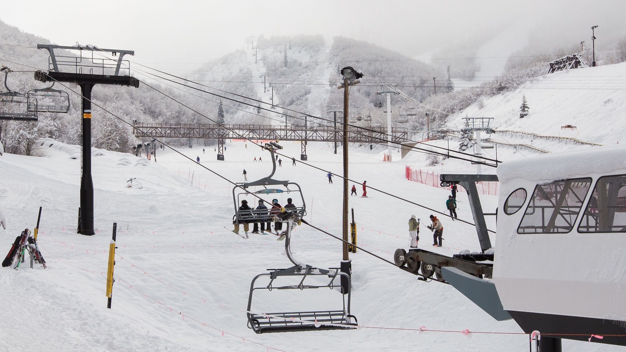 Photo of Others in North Park City