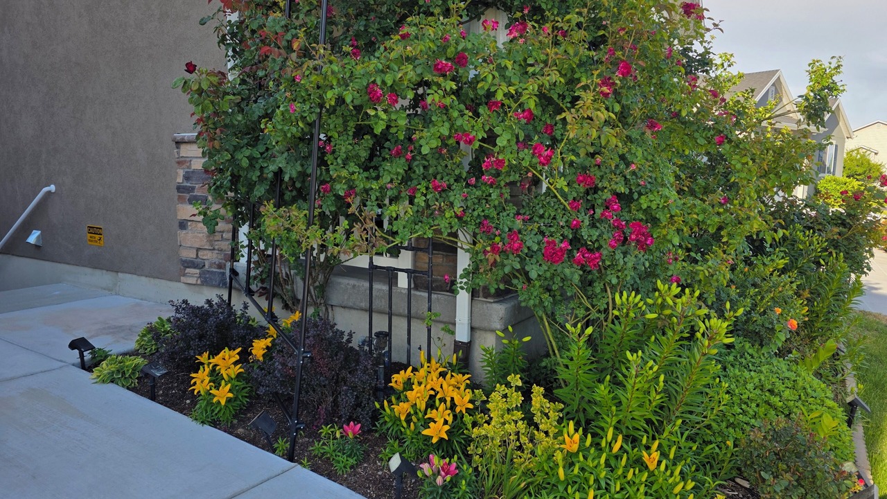 Photo of Outdoor in Orem