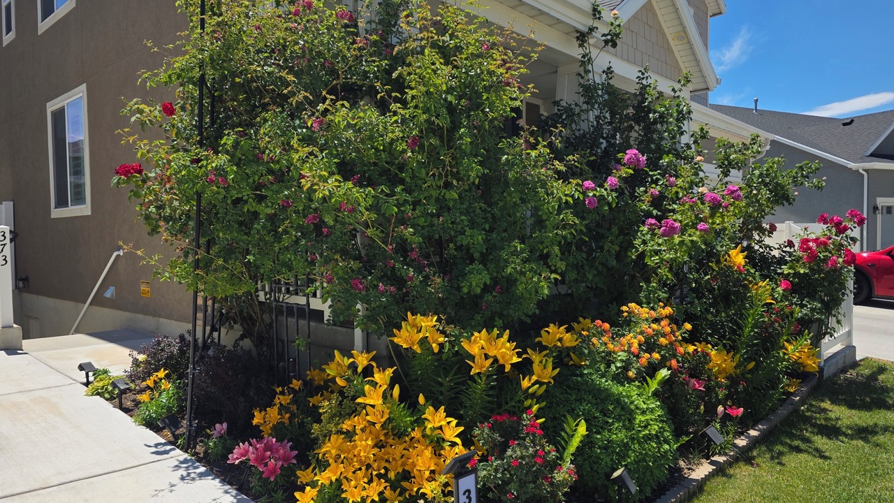 Photo of Outdoor in Orem