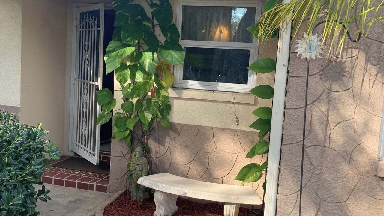 Photo of Outdoor in Palm Harbor