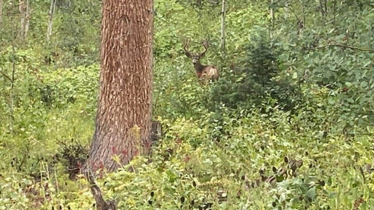 Photo of Others in Tollgate Canyon