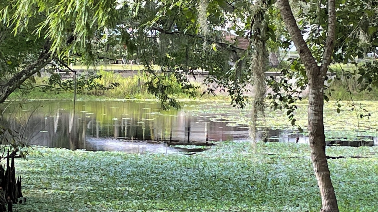 Photo of Others in Bushnell