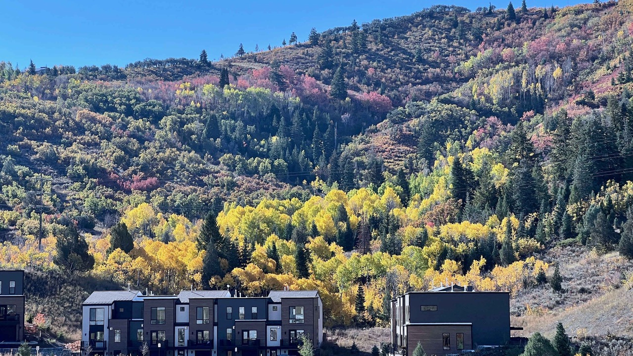 Photo of Outdoor in Summit Park