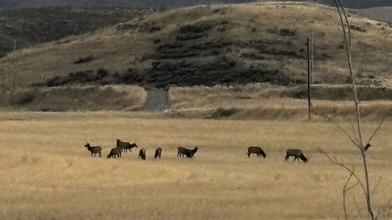 Photo of Others in Salt Lake County