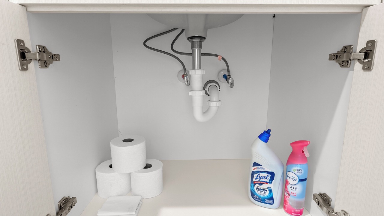 Photo of Bathroom in People's Freeway