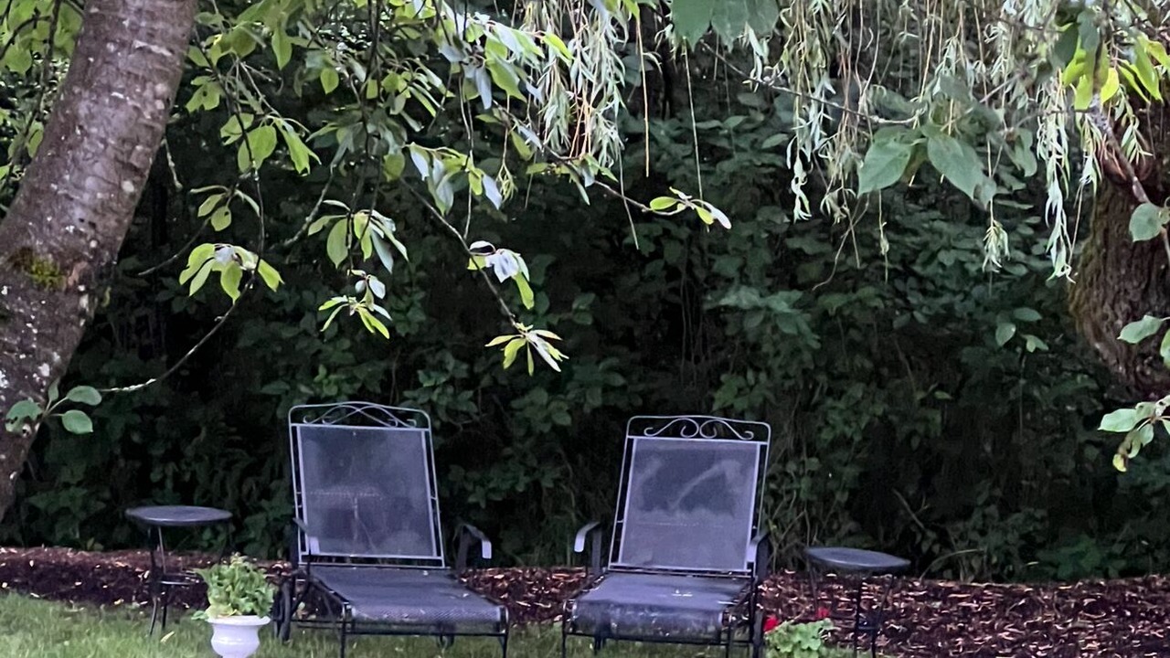 Photo of Outdoor in Woodinville