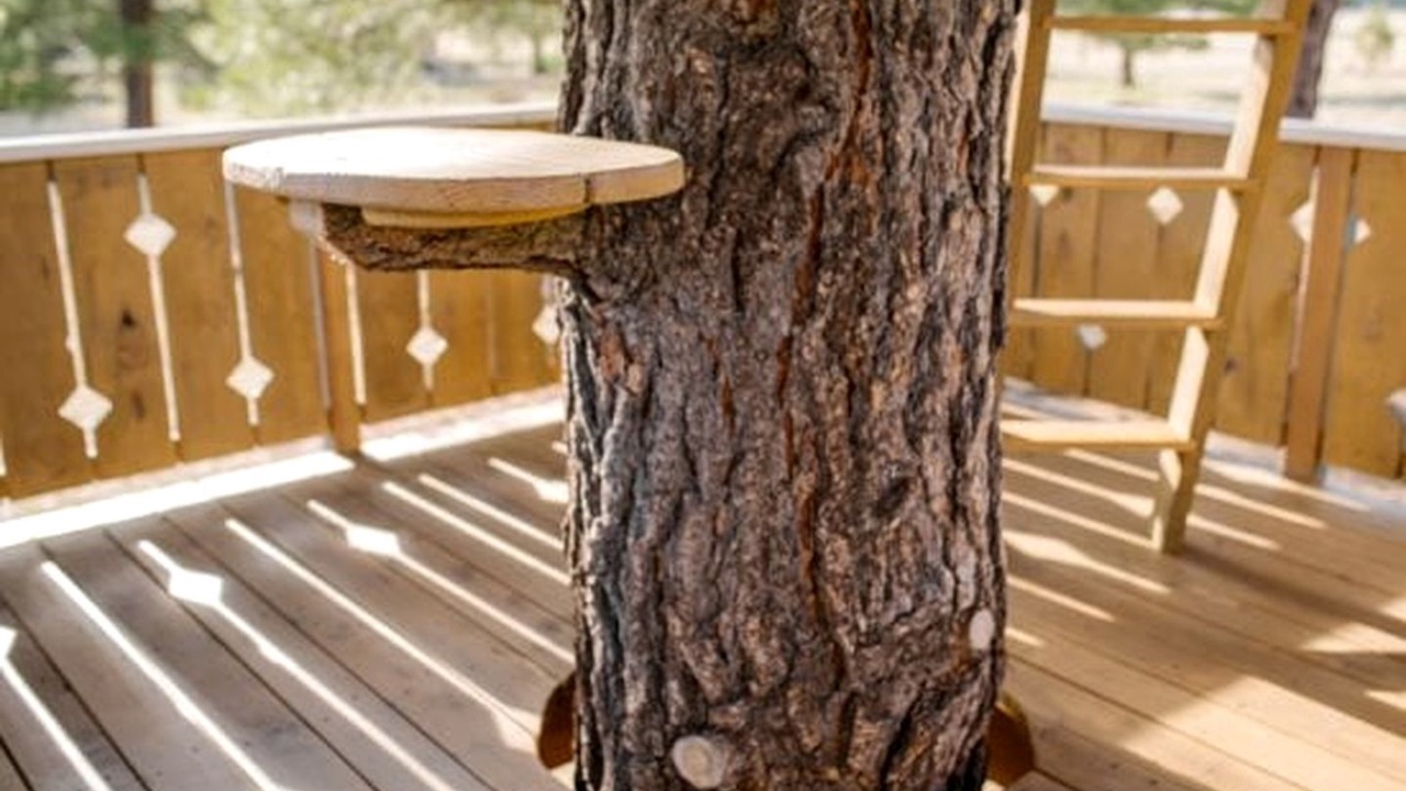 Photo of Outdoor in Parks