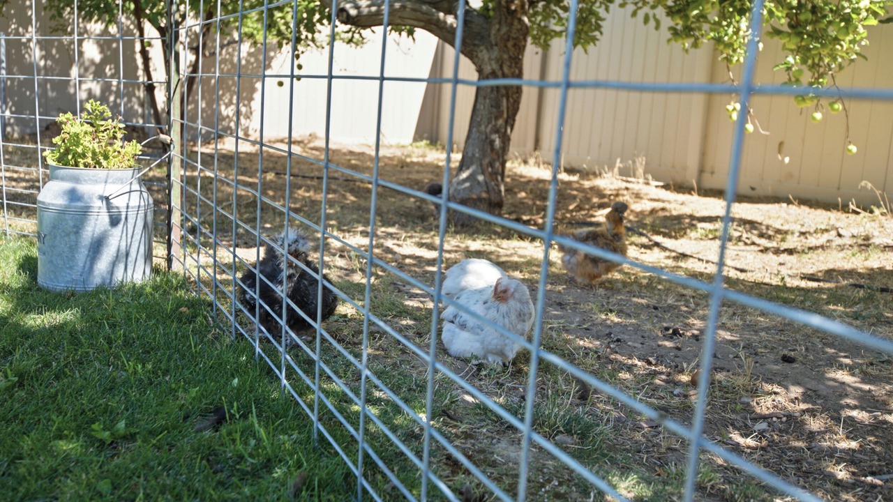 Photo of Outdoor in Spanish Fork