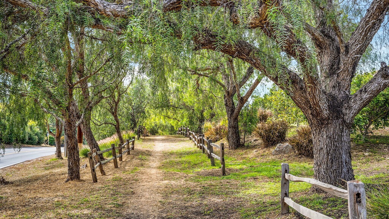 Photo of Others in Escondido