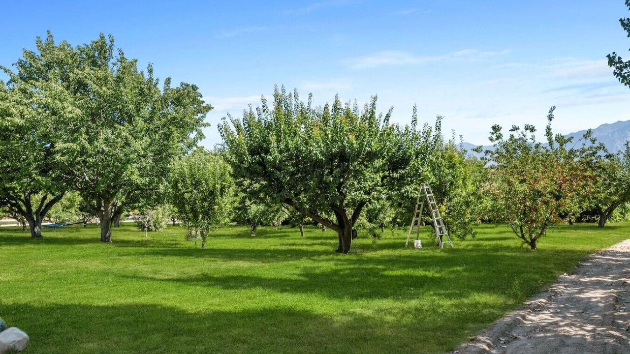 Photo of Outdoor in Bluffdale