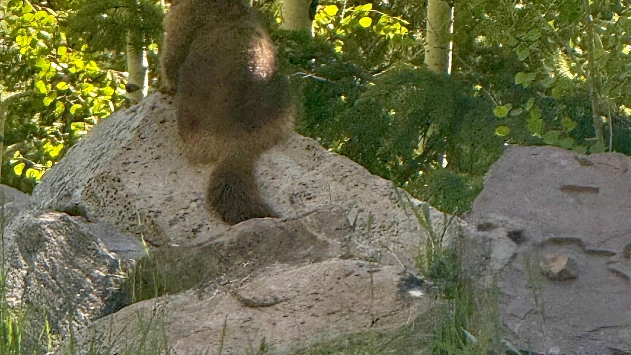 Photo of Others in Mancos