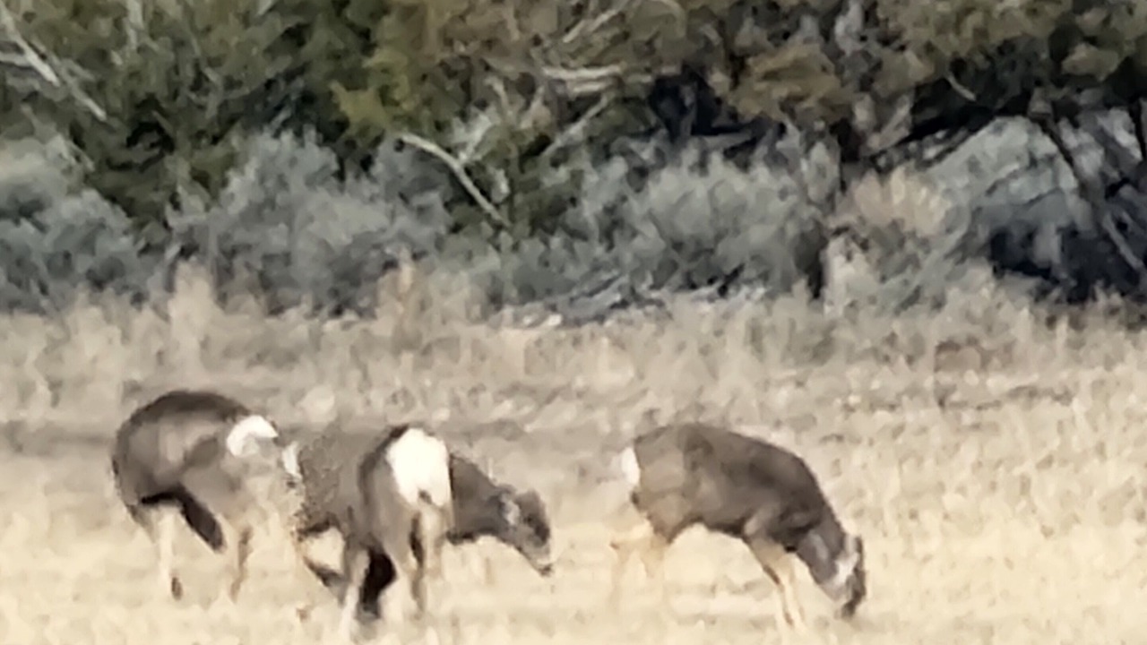 Photo of Others in Fruitland