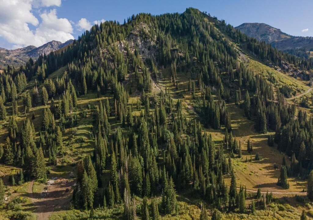 Photo of Outdoor in Salt Lake Mountain Resorts