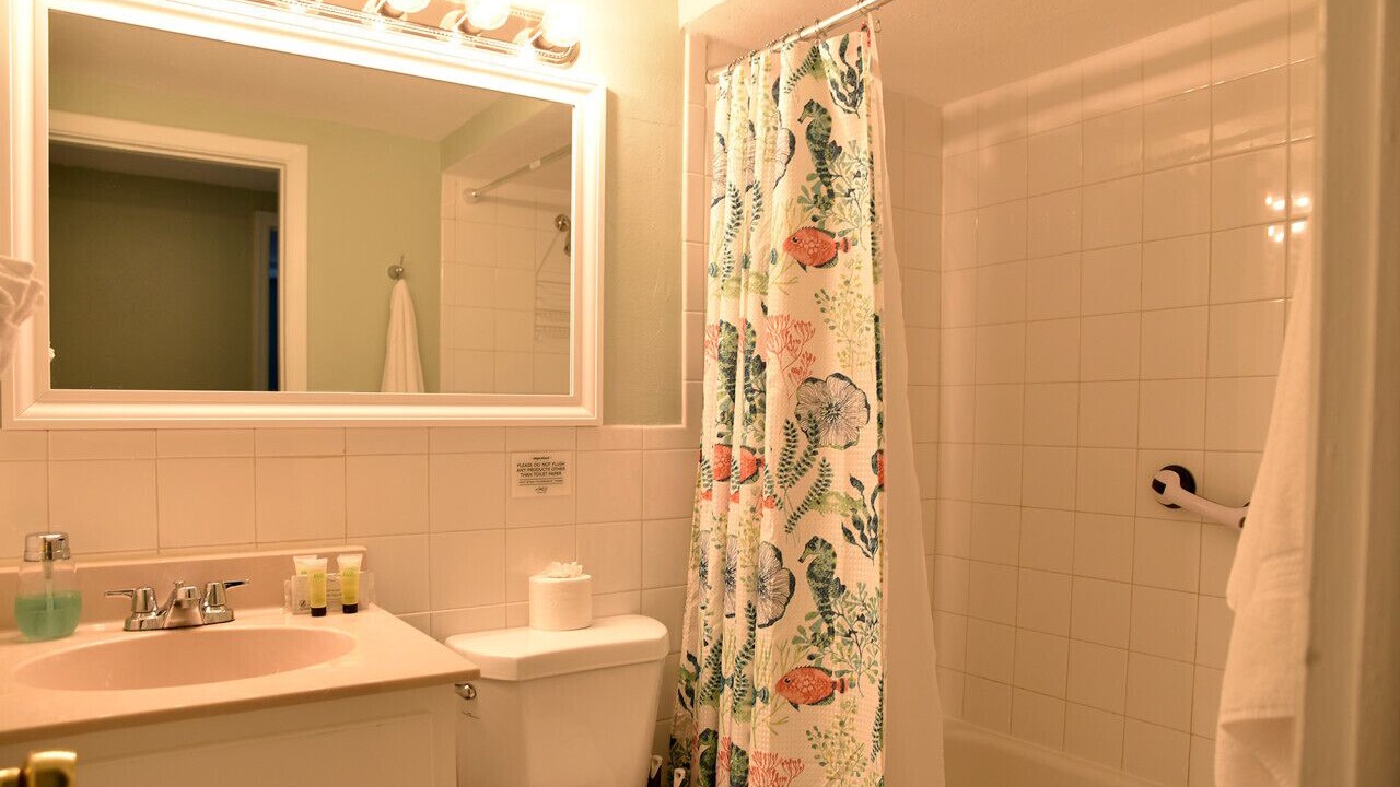Photo of Bathroom in Port Richey