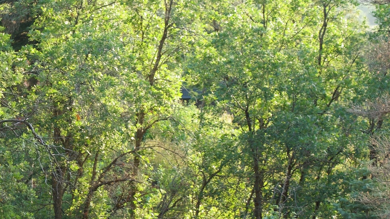 Photo of Others in Summit Park