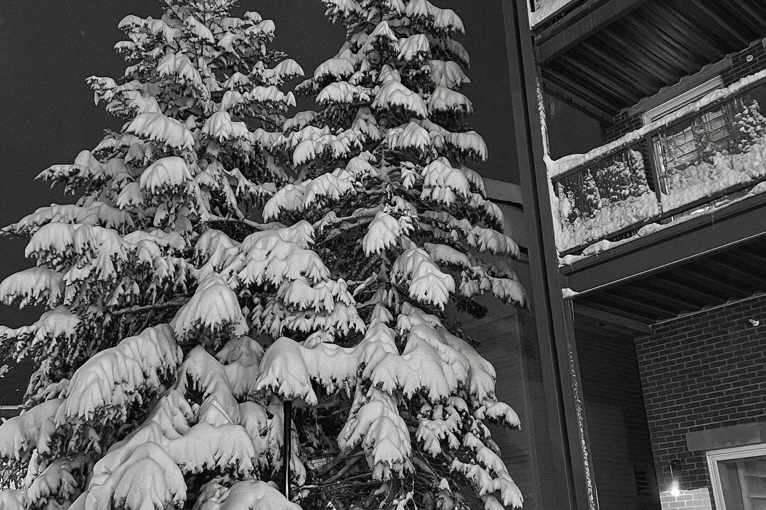 Photo of Outdoor in Aerie