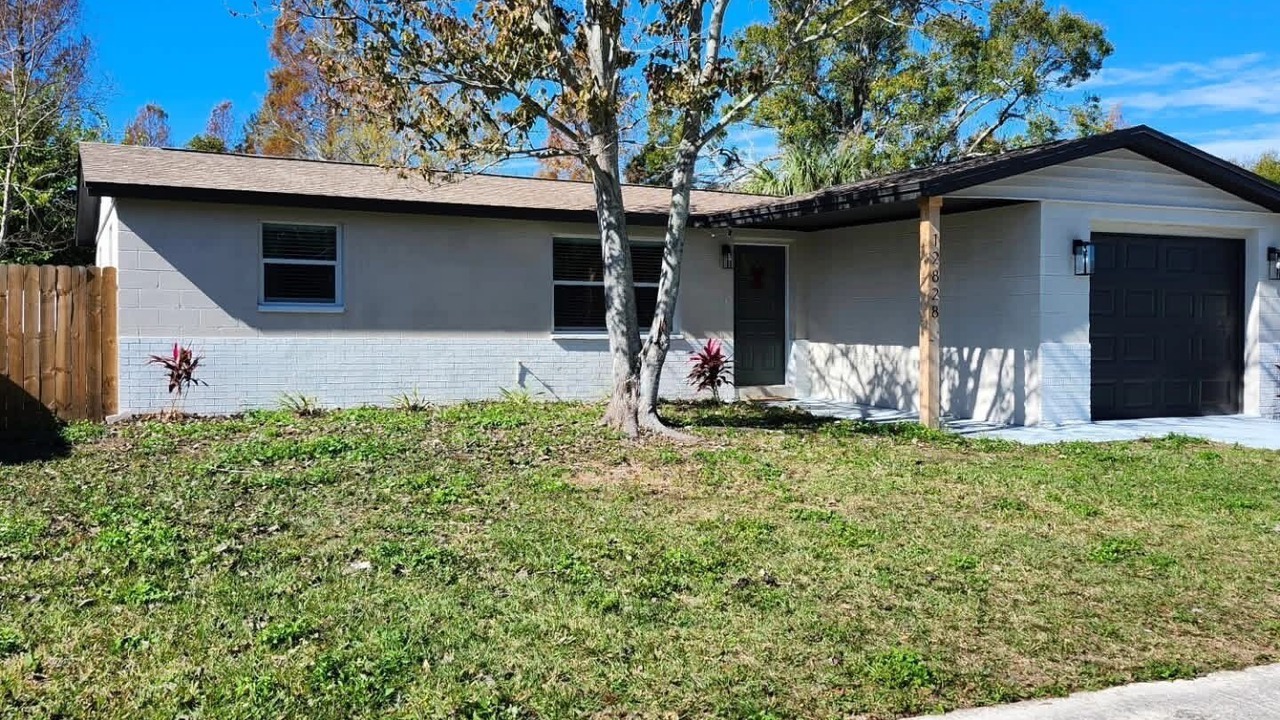 Photo of Outdoor in Citrus Park