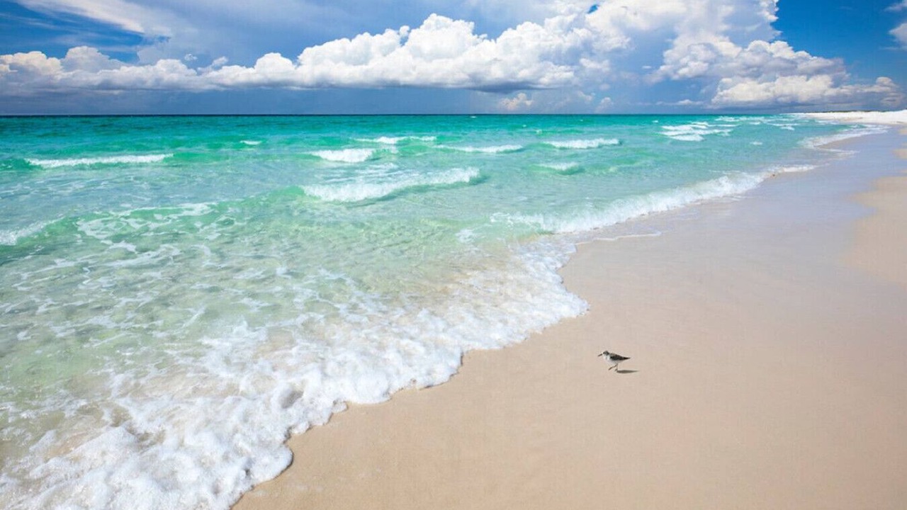 Photo of Others in Inlet Beach