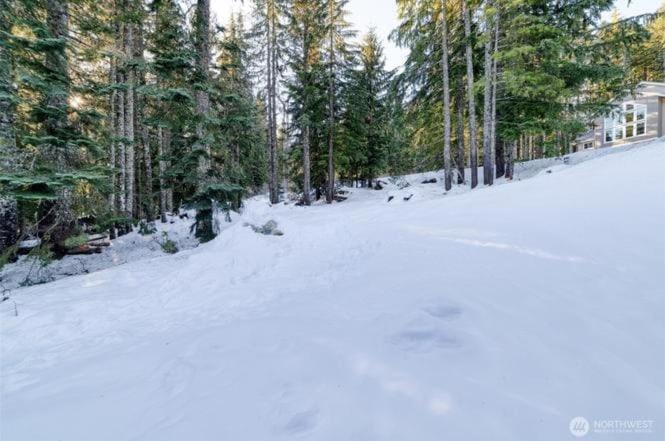 Photo of Others in Hyak