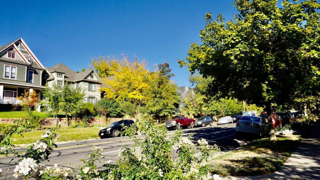 Photo of Others in Lower Avenues