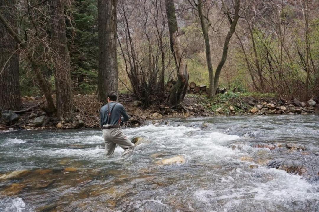 Photo of Others in Snowbird