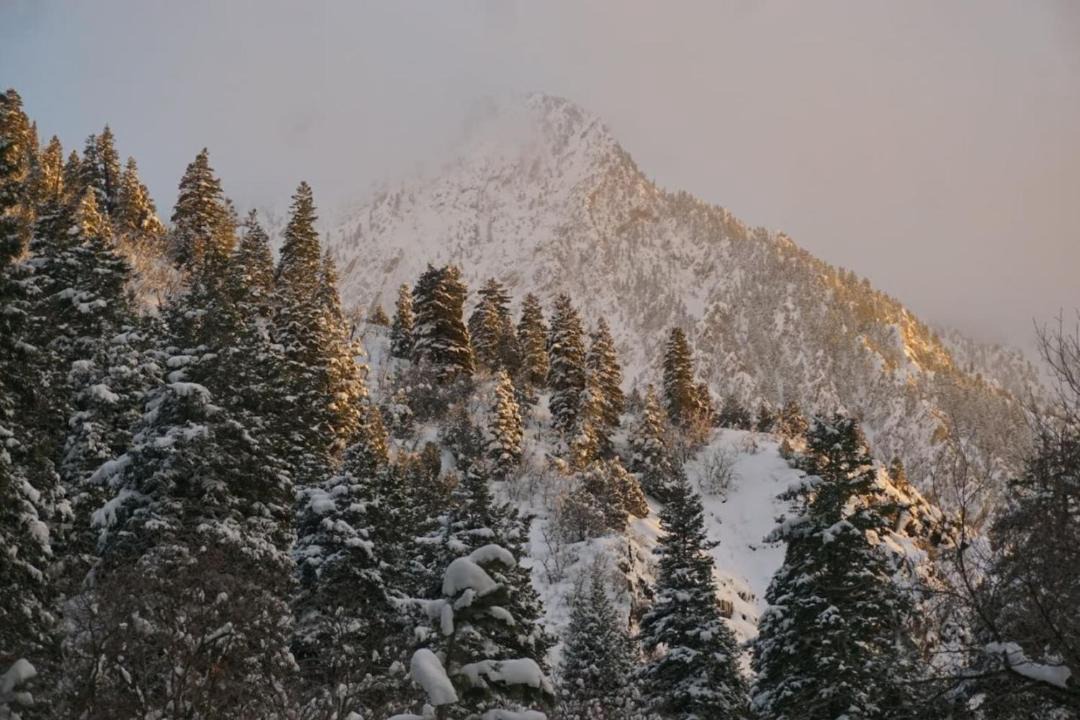 Photo of Others in Snowbird