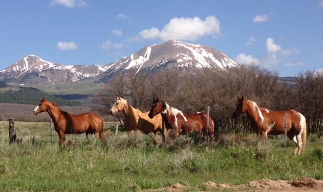 Photo of Others in La Sal
