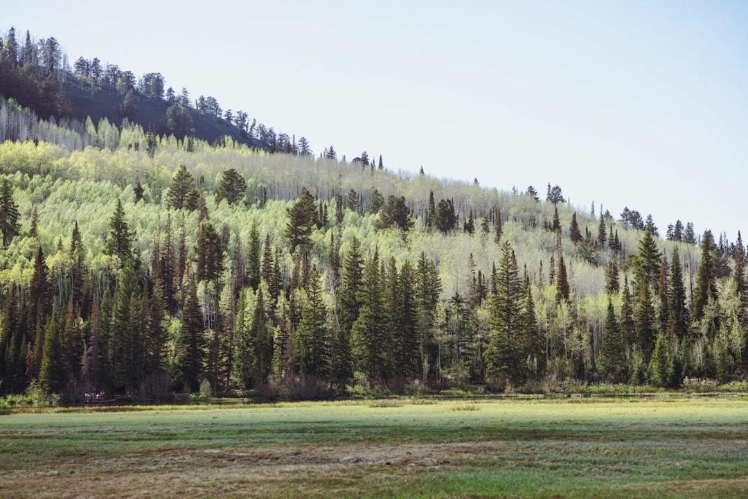 Photo of Others in Salt Lake Mountain Resorts
