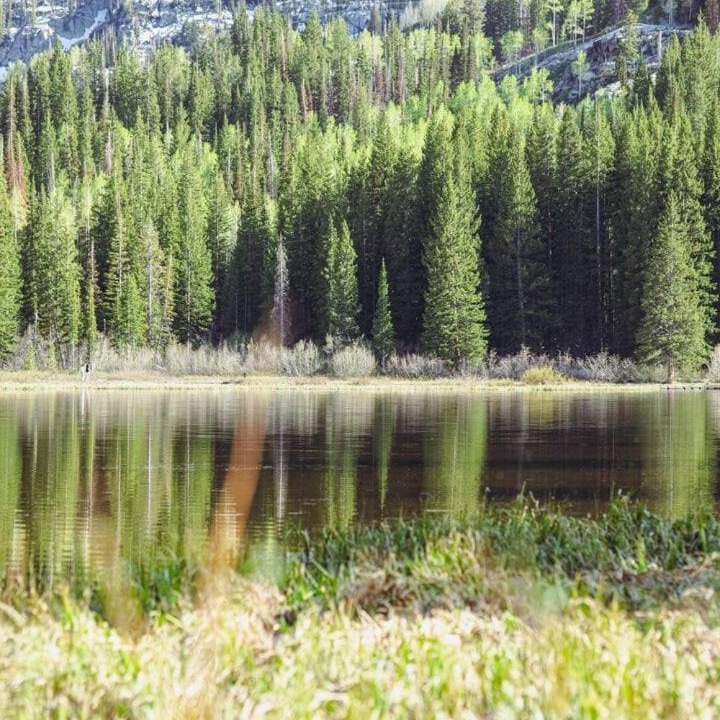 Photo of Others in Salt Lake Mountain Resorts