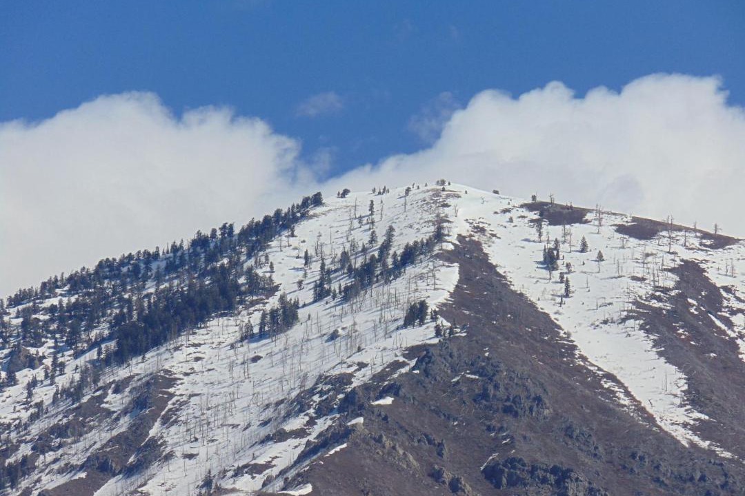 Photo of Others in Springville