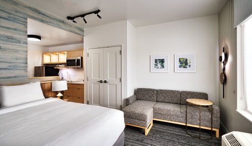 Studio, 1 King Bed with Sofa bed